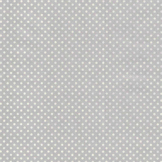 Silver and White Polka Dot Italian Paper ~ Tassotti ~ Reversible Print